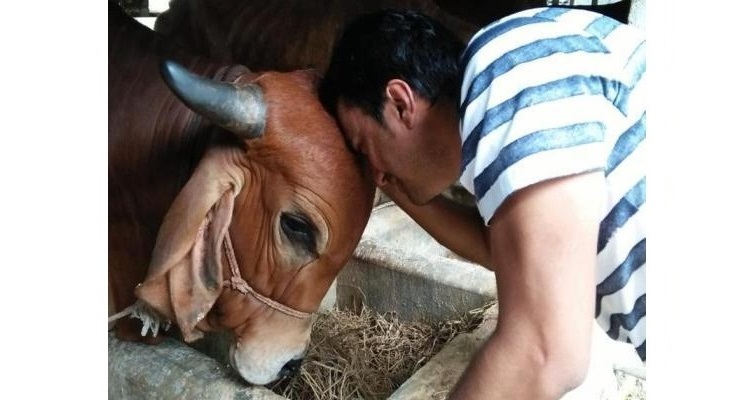 KRS Agro